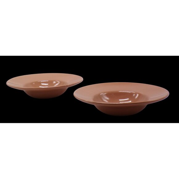 VHTF Pier 1 Imports Nutmeg Spice Wide Rim 9" Soup Salad Bowls Set-4 *RARE EUC* - Picture 7 of 10